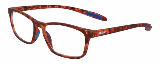 DAKAR RX* 20001 COL 695 +2.5 ø54/17 160 - L.01